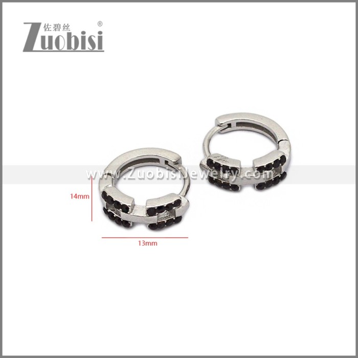 Stainless Steel Earring e002791SH