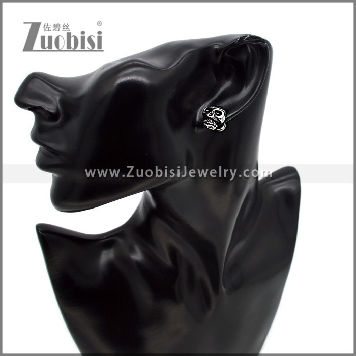 Stainless Steel Earring e002798SH