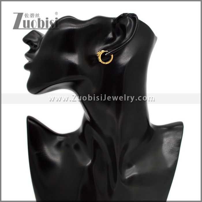 Stainless Steel Earring e002789G