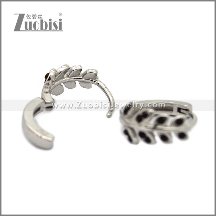 Stainless Steel Earring e002790SH