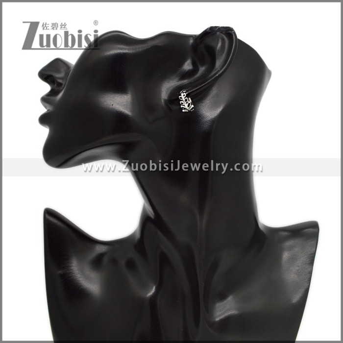 Stainless Steel Earring e002790SH