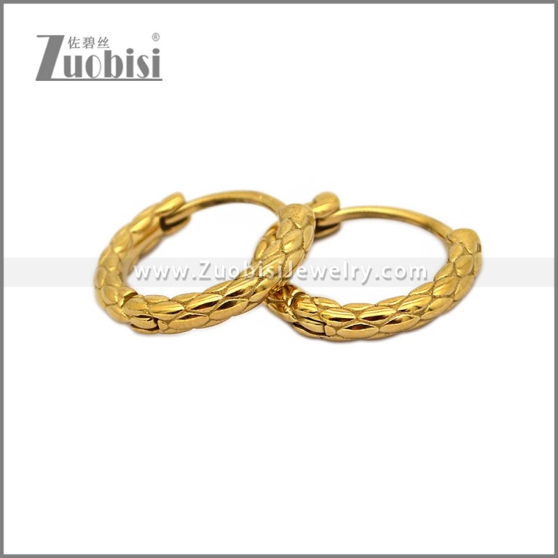 Stainless Steel Earring e002793G