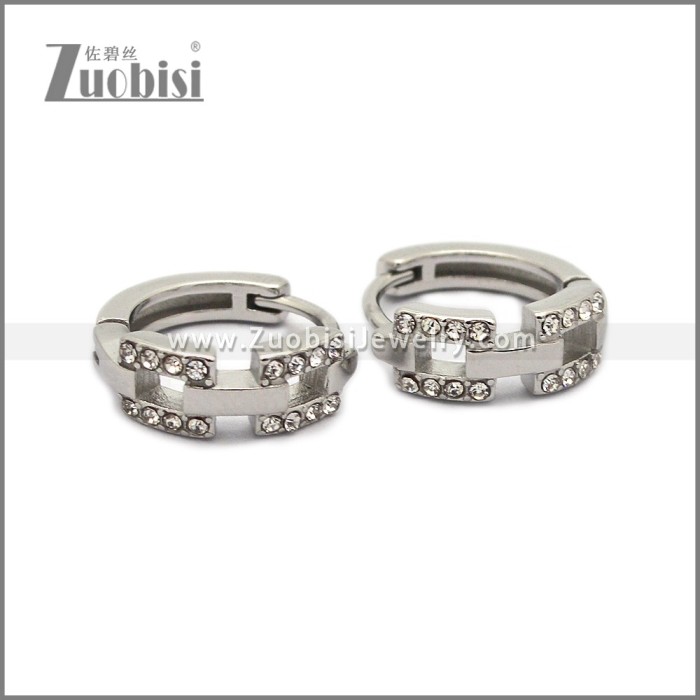 Stainless Steel Earring e002791S