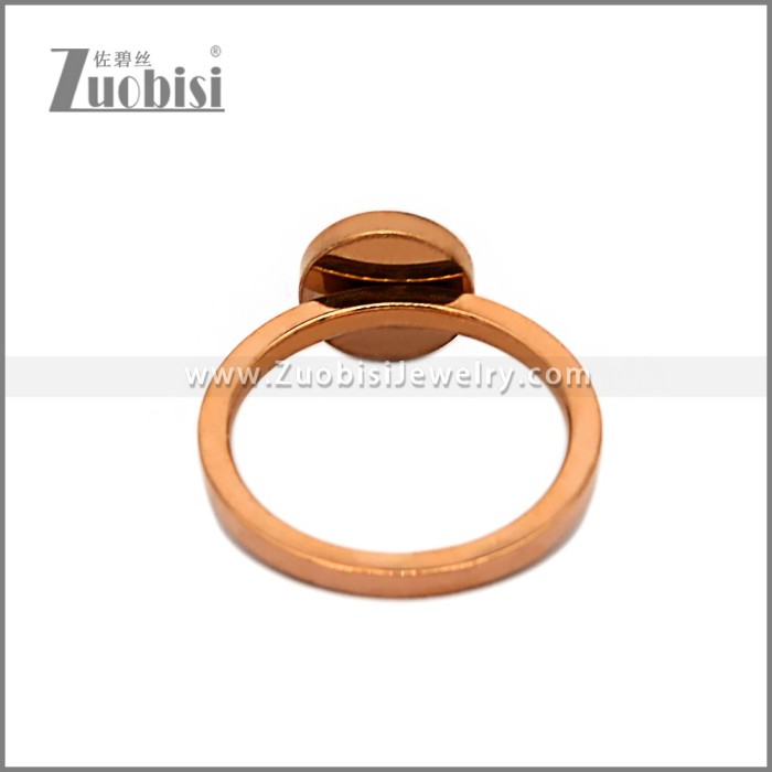 Stainless Steel Ring r010772SR