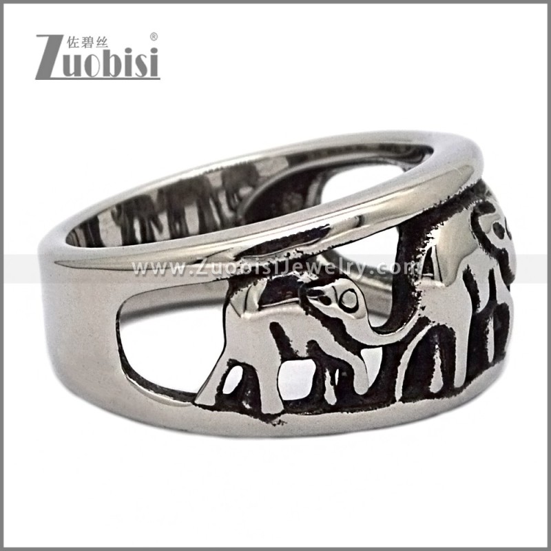 Stainless Steel Ring r010790S