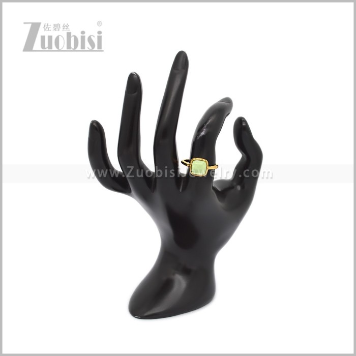 Stainless Steel Ring r010873GL