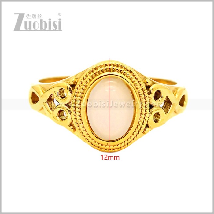 Stainless Steel Ring r010877GW