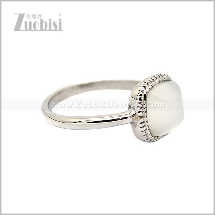 Stainless Steel Ring r010873SW
