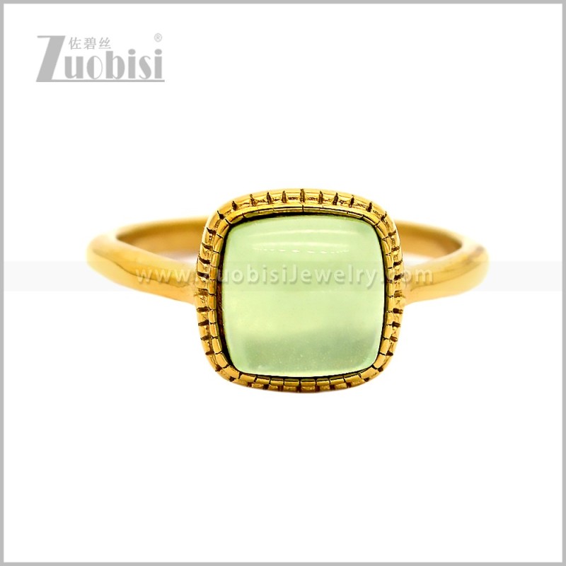 Stainless Steel Ring r010873GL