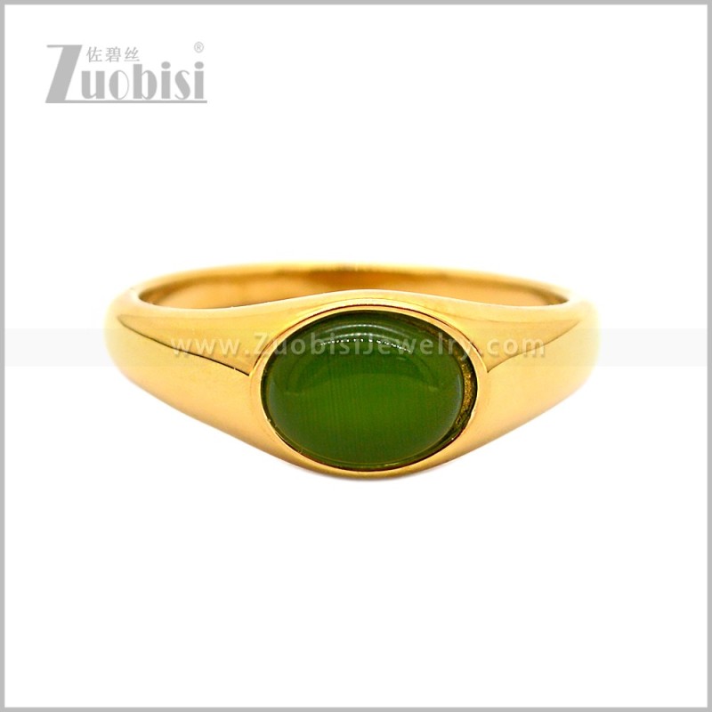 Stainless Steel Ring r010872GL