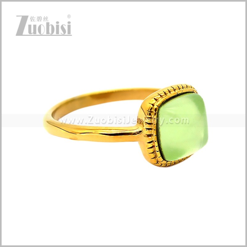 Stainless Steel Ring r010873GL