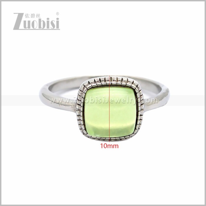Stainless Steel Ring r010873SL