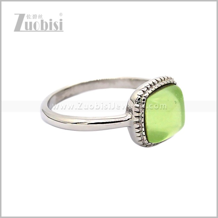 Stainless Steel Ring r010873SL