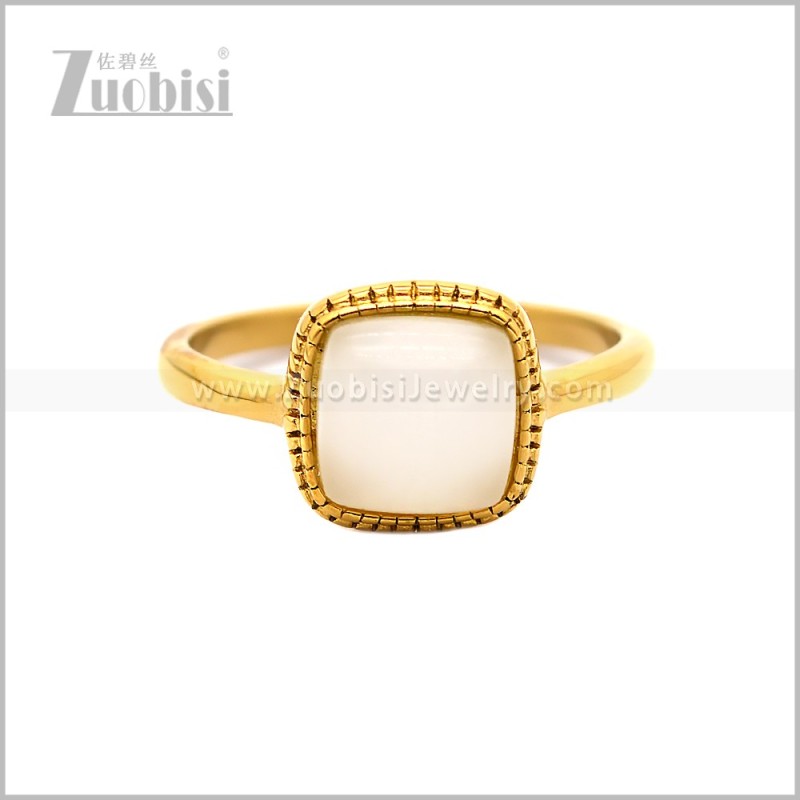 Stainless Steel Ring r010873GW