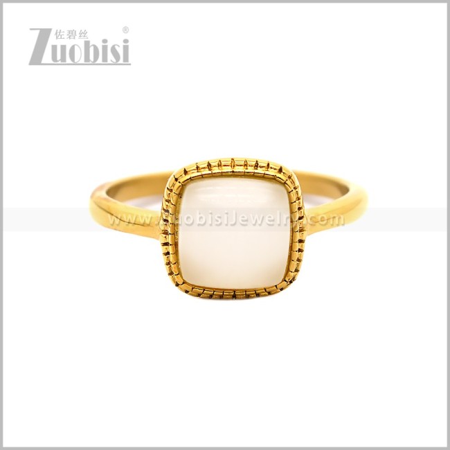 Stainless Steel Ring r010873GW
