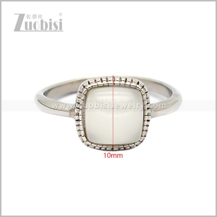 Stainless Steel Ring r010873SW