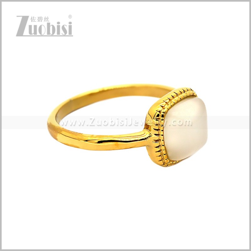 Stainless Steel Ring r010873GW