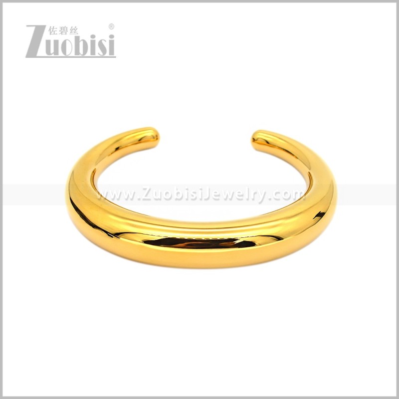 Stainless Steel Bangle b010995G