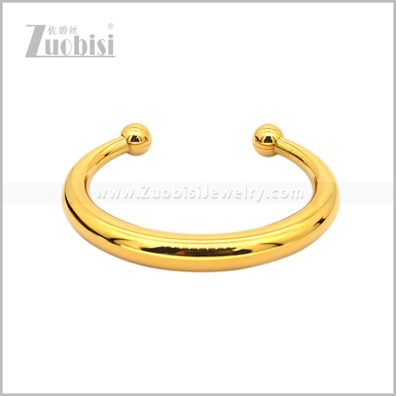 Stainless Steel Bangle b010991G