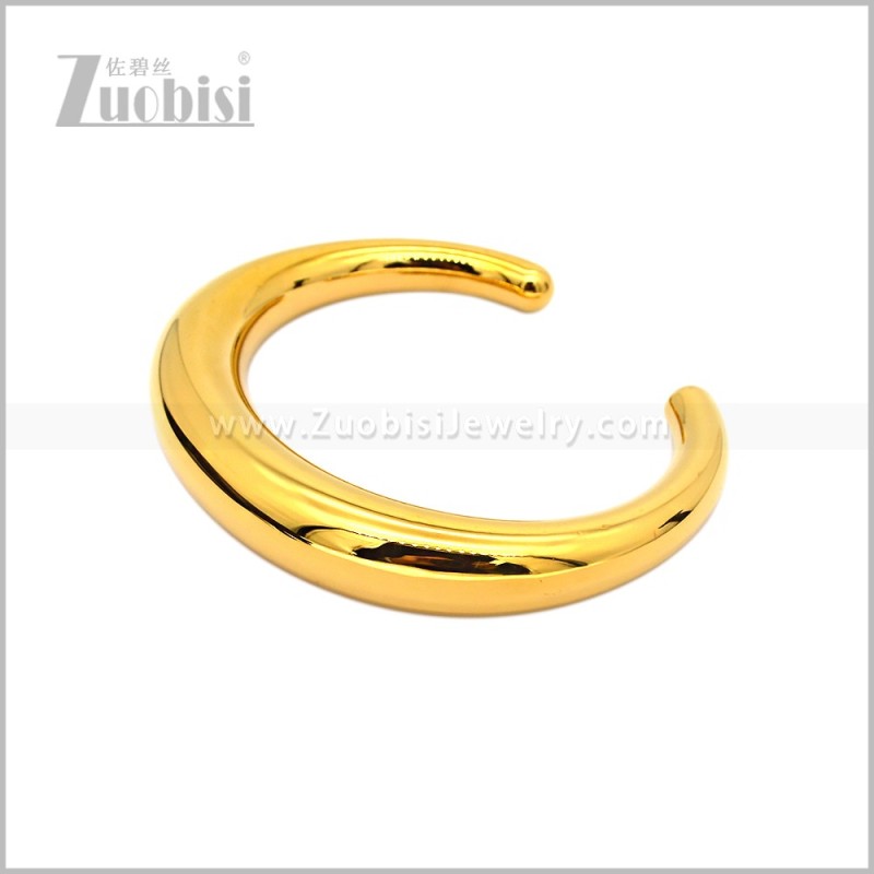 Stainless Steel Bangle b010995G