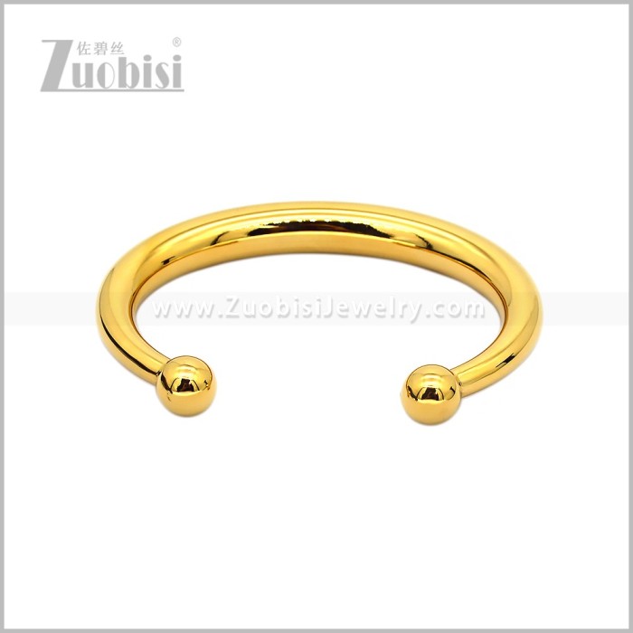 Stainless Steel Bangle b010991G