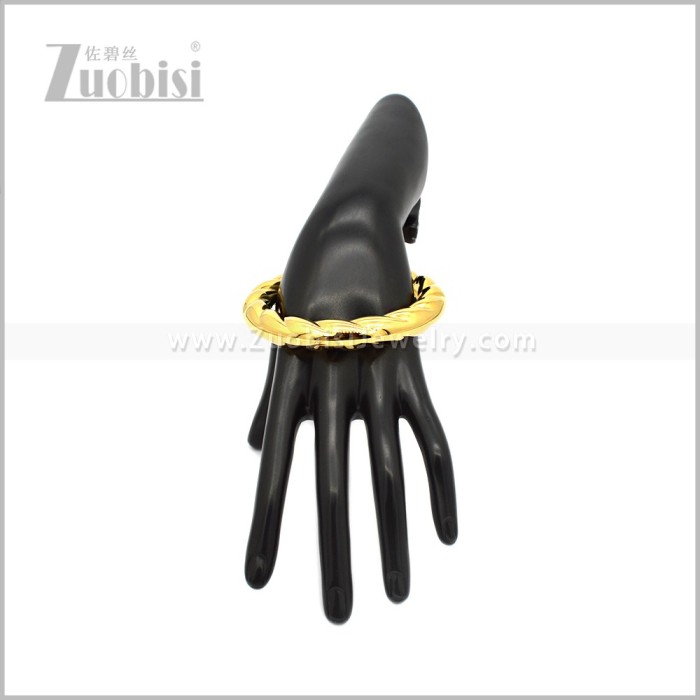 Stainless Steel Bangle b010989G