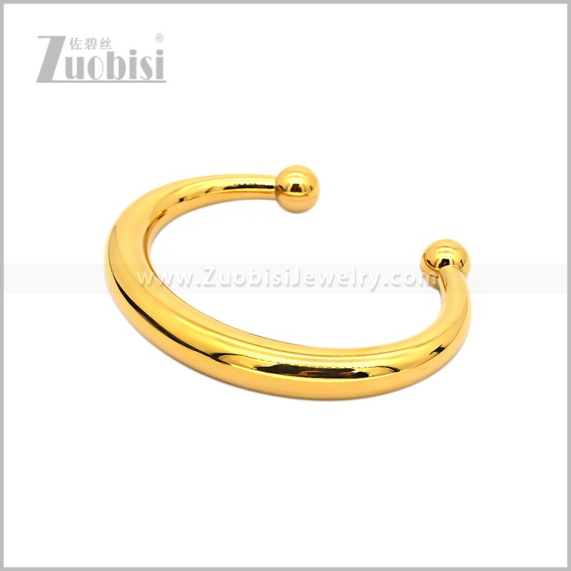 Stainless Steel Bangle b010991G