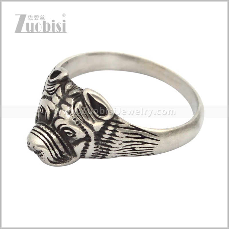 Stainless Steel Ring r010957S2