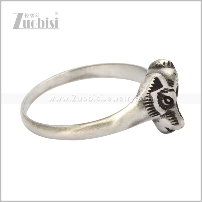 Stainless Steel Ring r010960S2
