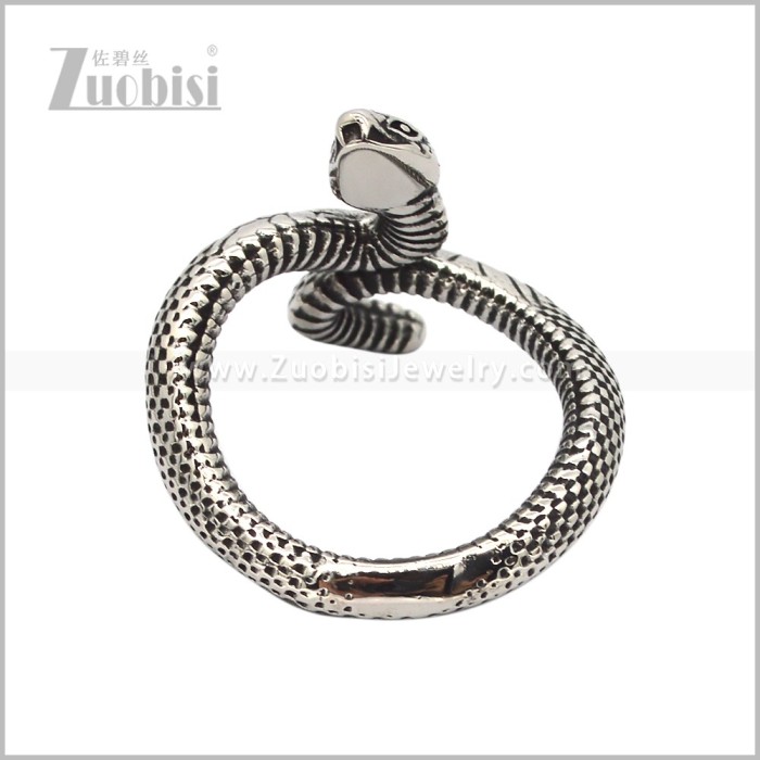 Stainless Steel Ring r010941SR