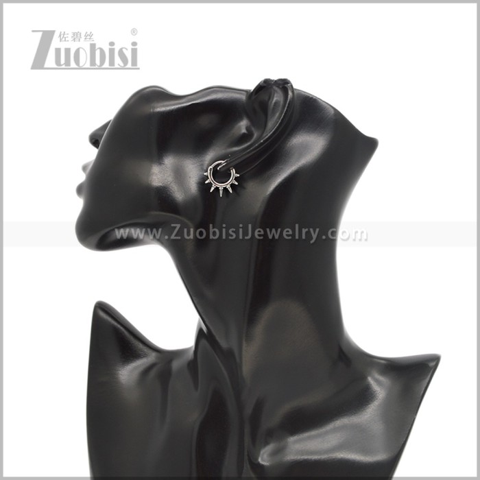 Stainless Steel Earring e002803S