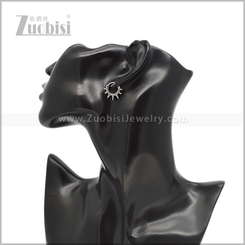 Stainless Steel Earring e002803S