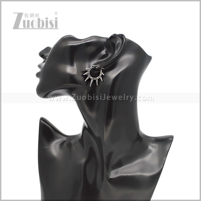 Stainless Steel Earring e002802S