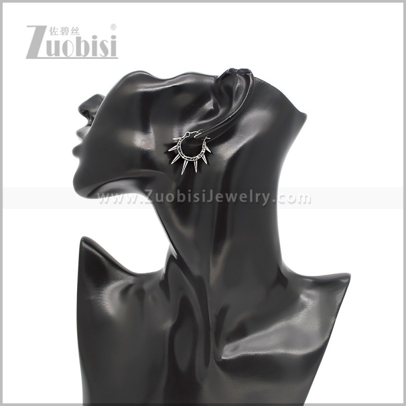 Stainless Steel Earring e002802S