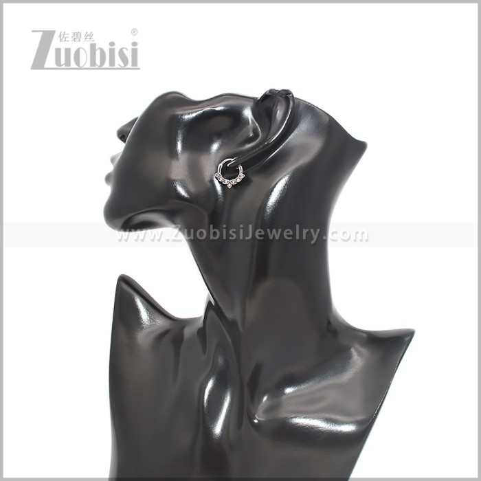 Stainless Steel Earring e002804S