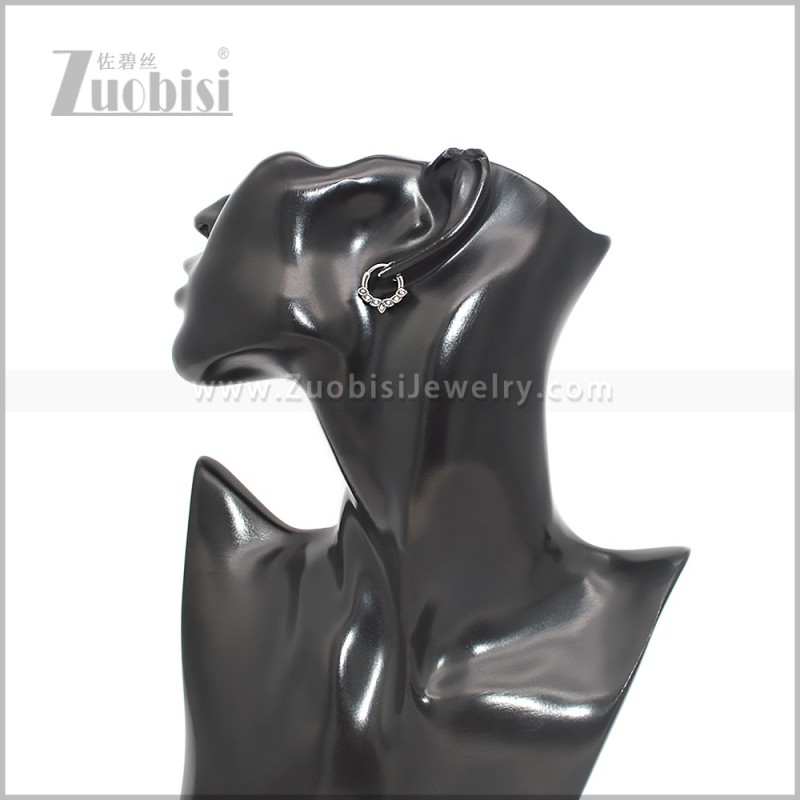 Stainless Steel Earring e002804S