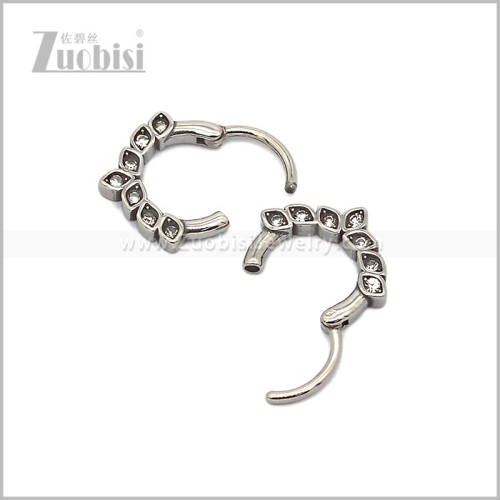 Stainless Steel Earring e002804S
