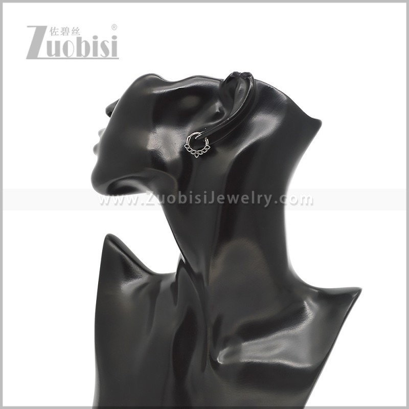 Stainless Steel Earring e002804SH