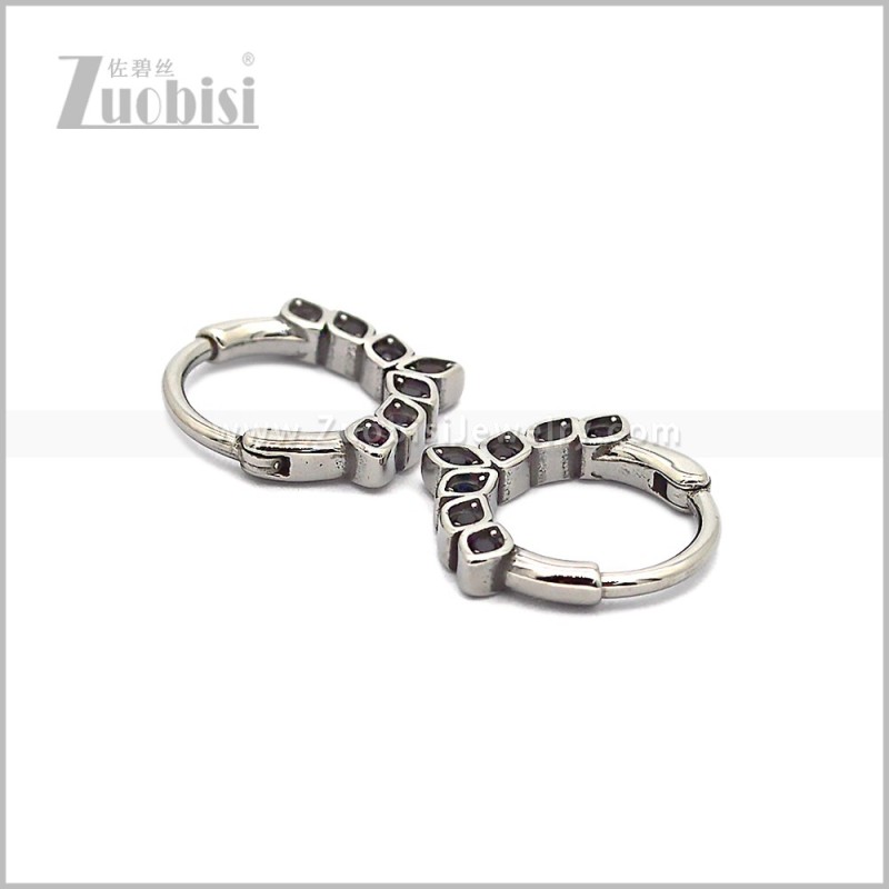 Stainless Steel Earring e002804SH