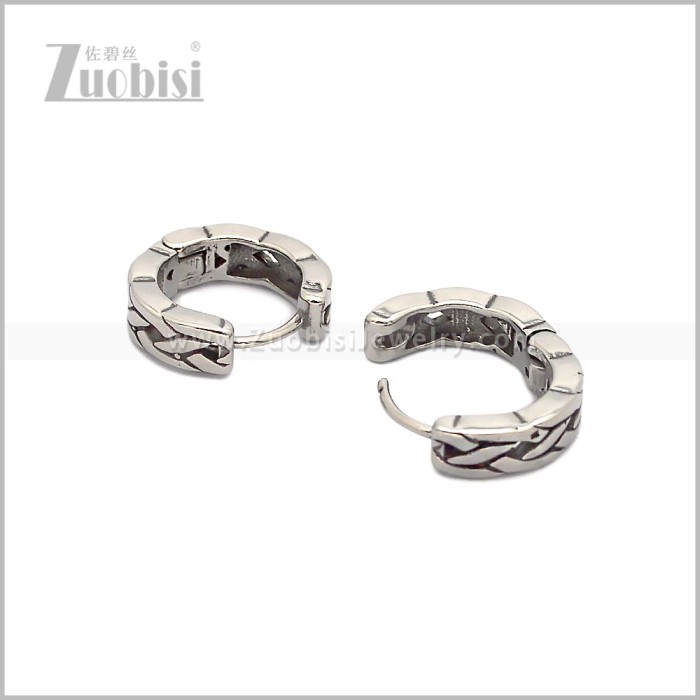 Stainless Steel Earring e002849S
