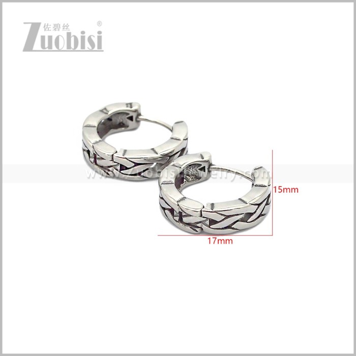Stainless Steel Earring e002849S