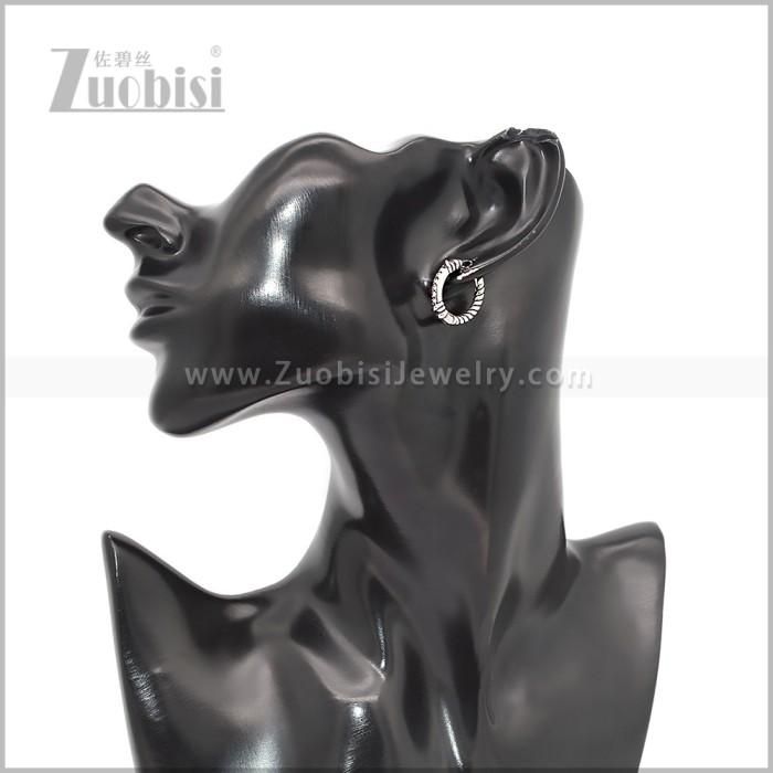 Stainless Steel Earring e002815S
