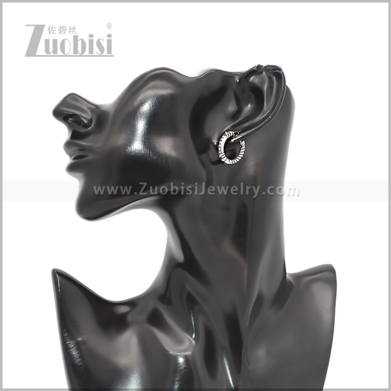 Stainless Steel Earring e002815S