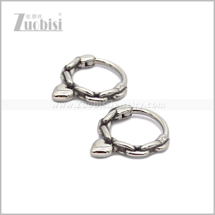 Stainless Steel Earring e002843S
