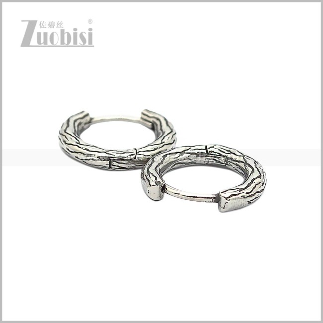 Stainless Steel Earring e002826S2