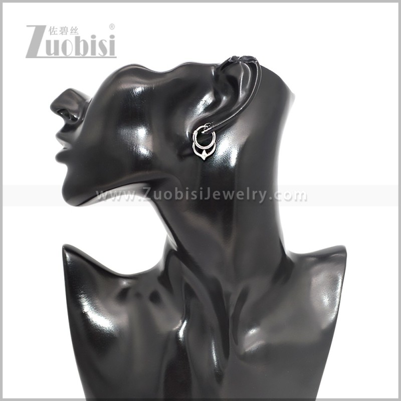 Stainless Steel Earring e002850S