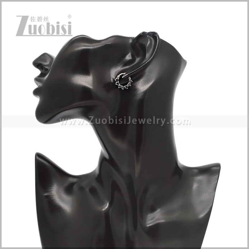 Stainless Steel Earring e002830SH