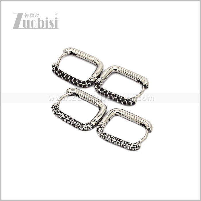 Stainless Steel Earring e002816S