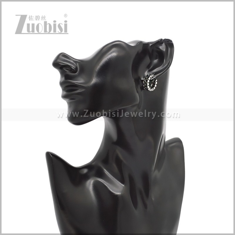 Stainless Steel Earring e002807S