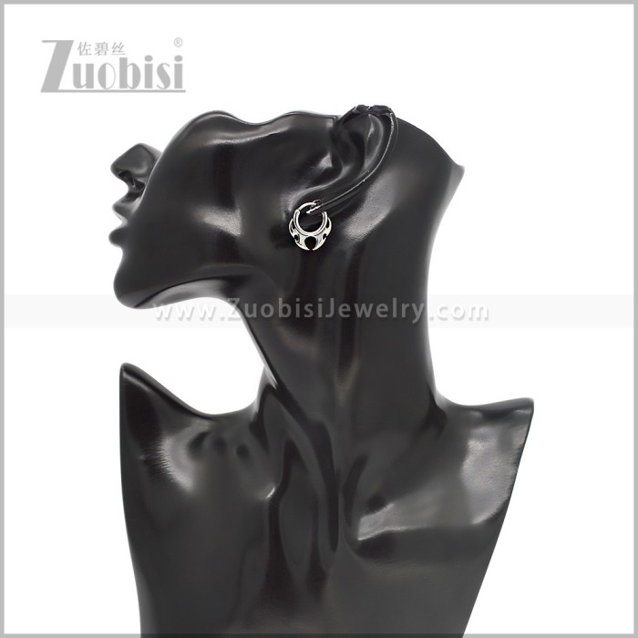 Stainless Steel Earring e002857S